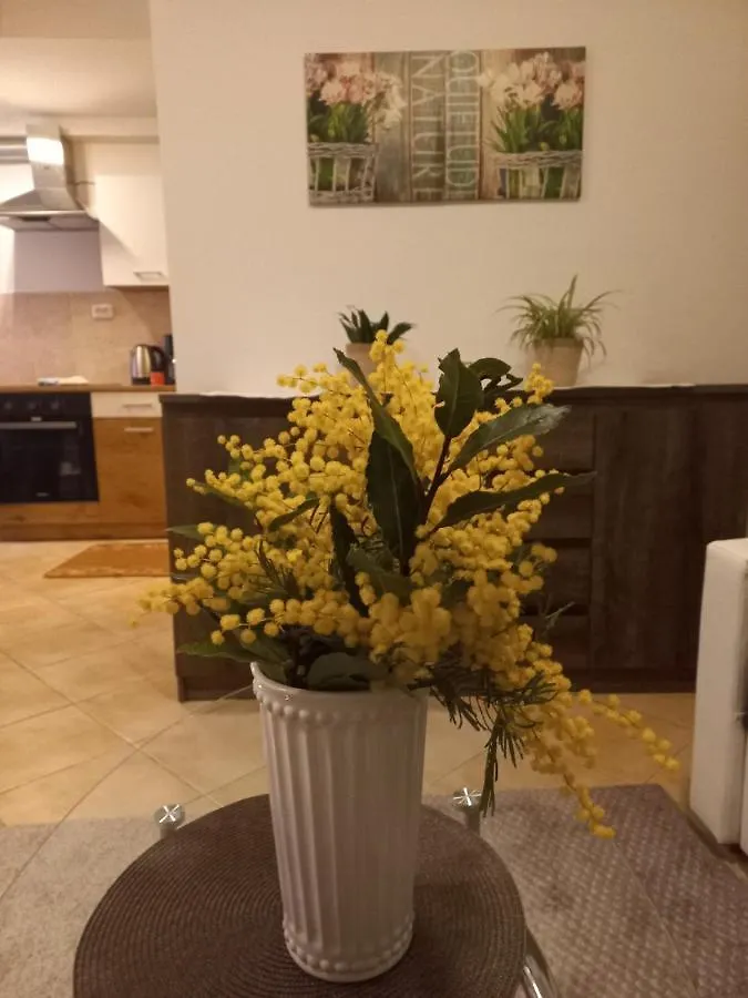 Udoban Stan Na Pecinama Apartment Rijeka